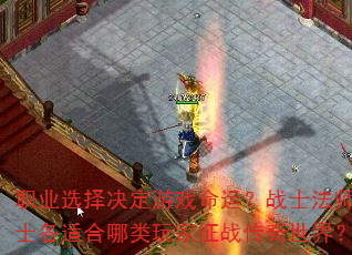 ְҵѡϷˣսʿʦʿʺս磿
