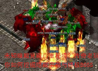 δ֪ذؾҽھرռBOSS