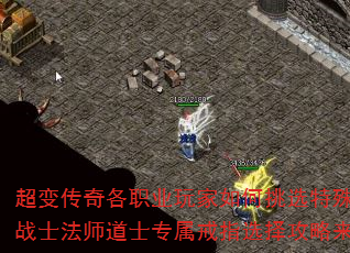 䴫ְҵѡָսʿʦʿרָѡ