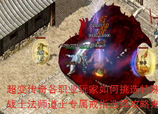 䴫ְҵѡָսʿʦʿרָѡ