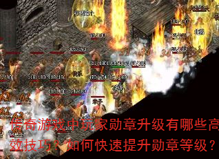 ϷѫЩЧɣοѫµȼ