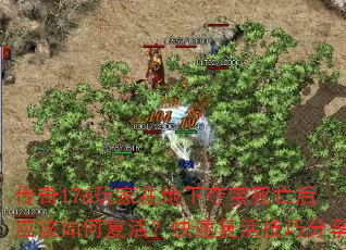 176ڵ¶ᱦӦθٸɷ