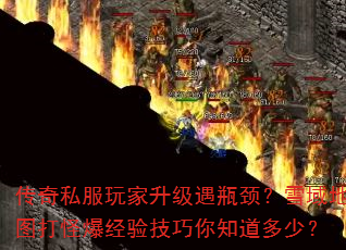 ˽ƿѩͼֱ鼼֪٣