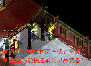 ҰBOSSʵͣЩܿˢƷװ