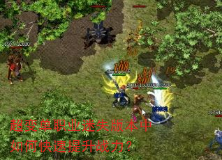 䵥ְҵʧ汾οս
