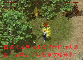 ѪȾϰ汾½ʧν޸Է