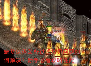 ιװ˳νֱؿڴ