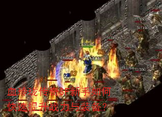 Ѫ紫SFοսװ