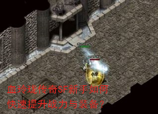 Ѫ紫SFοսװ