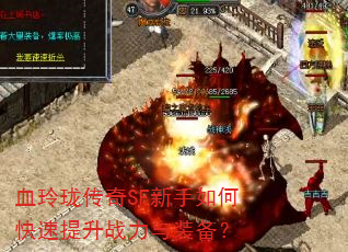 Ѫ紫SFοսװ