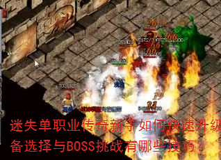 ʧְҵοװѡBOSSսЩɣ