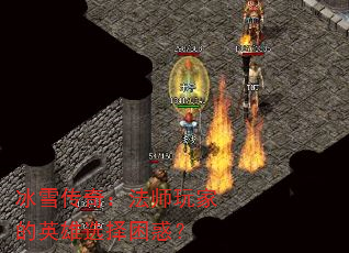 ѩ棺ʦҵӢѡ