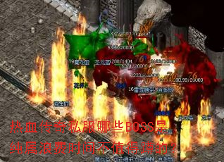 Ѫ˽ЩBOSSǴ˷ʱ䲻ֵö׵ģ
