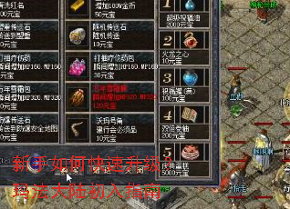 新手如何快速升级?玛法大陆初入指南 新手如何快速升级?玛法大陆初入指南