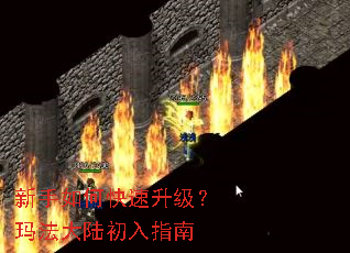 新手如何快速升级?玛法大陆初入指南 新手如何快速升级?玛法大陆初入指南