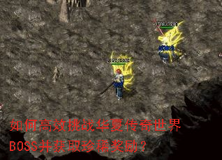 如何高效挑战华夏传奇世界BOSS并获取珍稀奖励? 如何高效挑战华夏传奇世界BOSS并获取珍稀奖励?