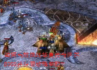 如何高效挑战华夏传奇世界BOSS并获取珍稀奖励? 如何高效挑战华夏传奇世界BOSS并获取珍稀奖励?