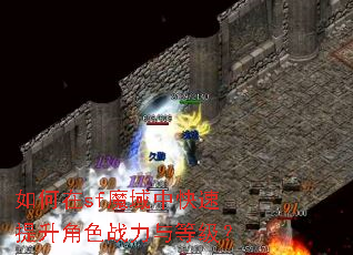 �����sfħ���п���������ɫս����ȼ���