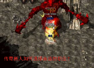 ѡʵְҵ