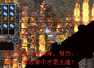 ʦǿħĸ