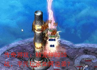 ϷBOSSսƽϮ