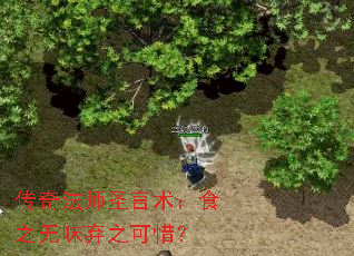 淨ʦʥʳ֮ζ֮ϧ