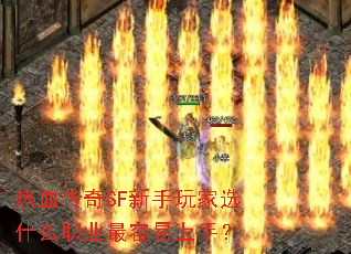ѪSFѡʲôְҵ֣