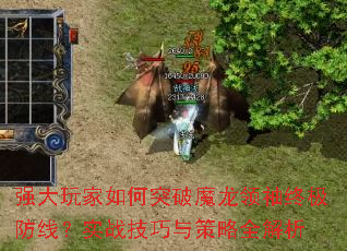 ǿͻħռߣʵսȫ