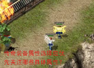 װѡӦȹעЩԣ