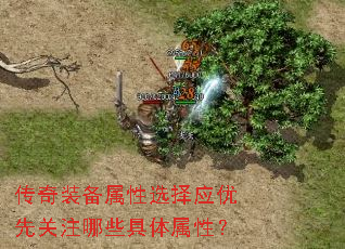 װѡӦȹעЩԣ