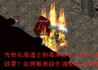 ˽ʿʩɫͬʲôЧθɫսԣ