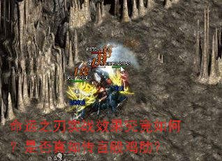 ֮ʵսЧΣǷ紫԰㼦ߣ