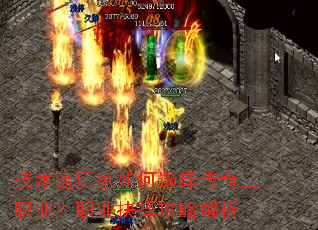 ѡְҵְҵԽ