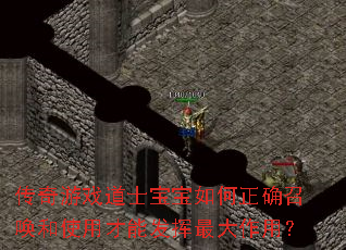 传奇游戏道士宝宝如何正确召唤和使用才能发挥最大作用? 传奇游戏道士宝宝如何正确召唤和使用才能发挥最大作用?