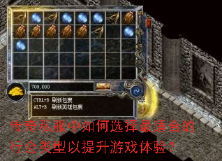 传奇私服中如何选择最适合的行会类型以提升游戏体验? 传奇私服中如何选择最适合的行会类型以提升游戏体验?