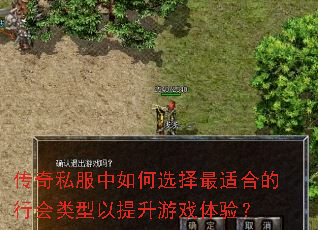 传奇私服中如何选择最适合的行会类型以提升游戏体验? 传奇私服中如何选择最适合的行会类型以提升游戏体验?