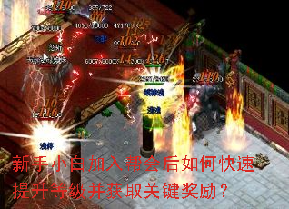 新手小白加入帮会后如何快速提升等级并获取关键奖励? 新手小白加入帮会后如何快速提升等级并获取关键奖励?