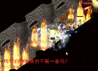 传奇白野猪真的不堪一击吗? 传奇白野猪真的不堪一击吗?