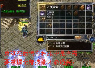 英雄在新传奇私服中是否需要掌握全部技能才能通关? 英雄在新传奇私服中是否需要掌握全部技能才能通关?