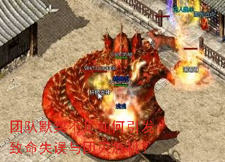 团队默契不足如何引发致命失误与团灭危机? 团队默契不足如何引发致命失误与团灭危机?
