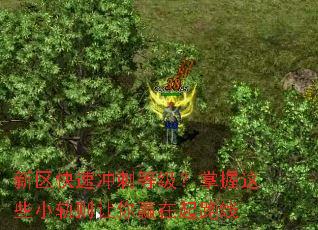 新区快速冲刺等级?掌握这些小轨则让你赢在起跑线 新区快速冲刺等级?掌握这些小轨则让你赢在起跑线