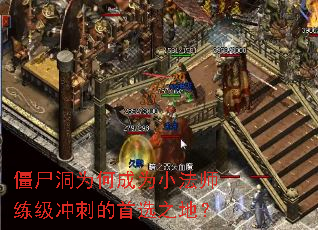 ʬΪγΪСʦ̵ѡ֮أ