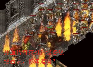 热血传奇英雄升级各级经验表,你知道吗? 热血传奇英雄升级各级经验表,你知道吗?