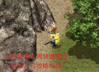传奇新手如何快速晋级?新服开启攻略指南 传奇新手如何快速晋级?新服开启攻略指南