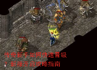 传奇新手如何快速晋级?新服开启攻略指南 传奇新手如何快速晋级?新服开启攻略指南