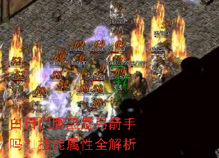 白日门鹰卫是弓箭手吗?技能属性全解析 白日门鹰卫是弓箭手吗?技能属性全解析