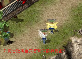 如何击败黄金咒怨获取稀有装备? 如何击败黄金咒怨获取稀有装备?