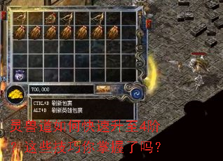 灵兽道如何快速升至4阶?这些技巧你掌握了吗? 灵兽道如何快速升至4阶?这些技巧你掌握了吗?