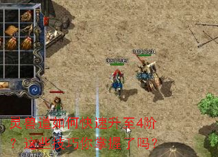 灵兽道如何快速升至4阶?这些技巧你掌握了吗? 灵兽道如何快速升至4阶?这些技巧你掌握了吗?