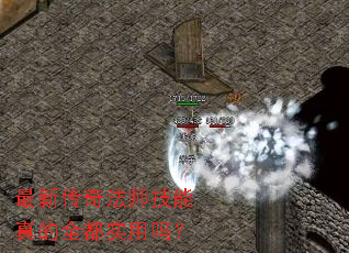 最新传奇法师技能真的全都实用吗? 最新传奇法师技能真的全都实用吗?